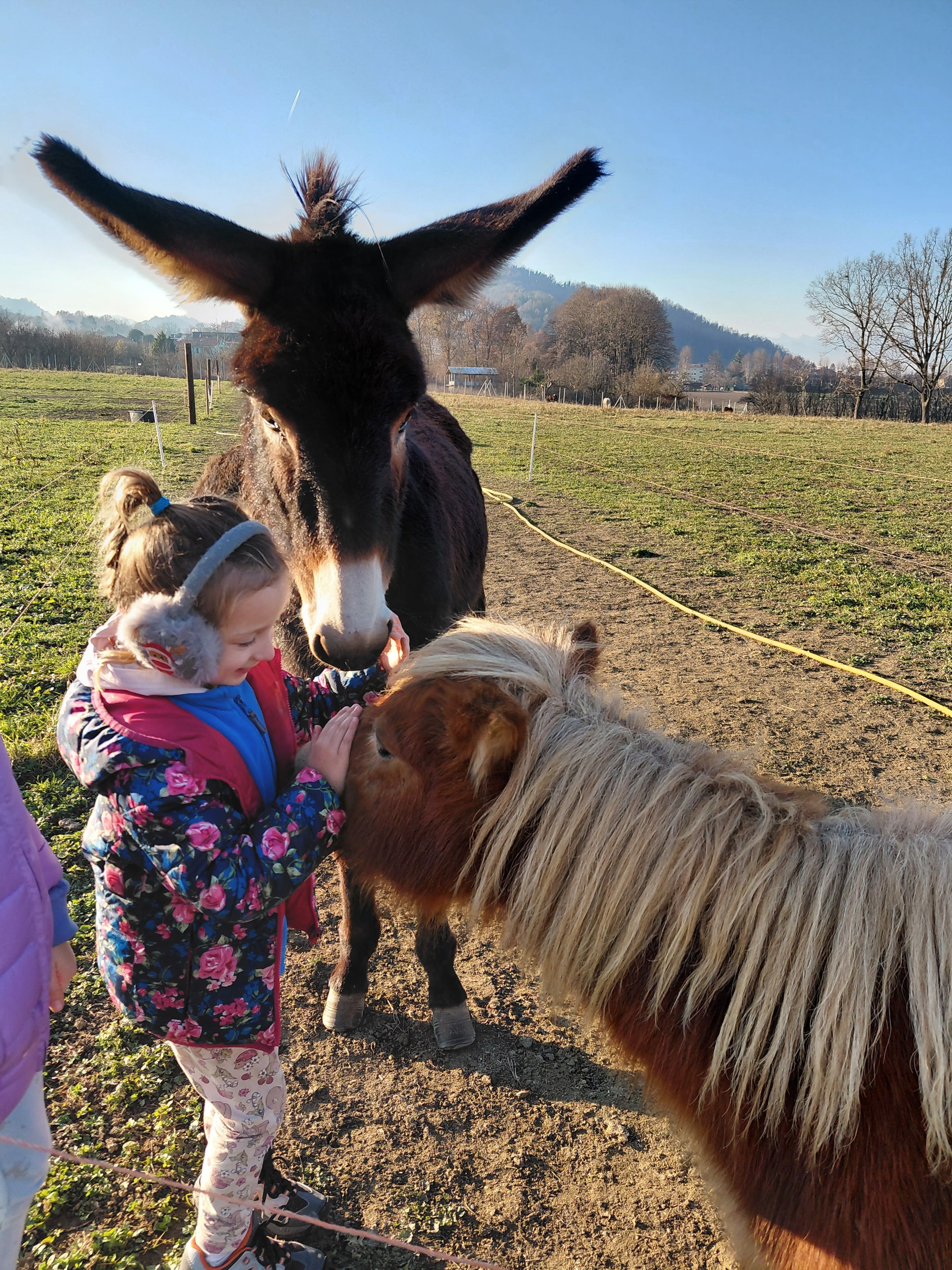 Bambina con pony